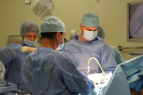 В Петербурге уже 2 года работает уникальный центр, где проводят внутриутробные операции